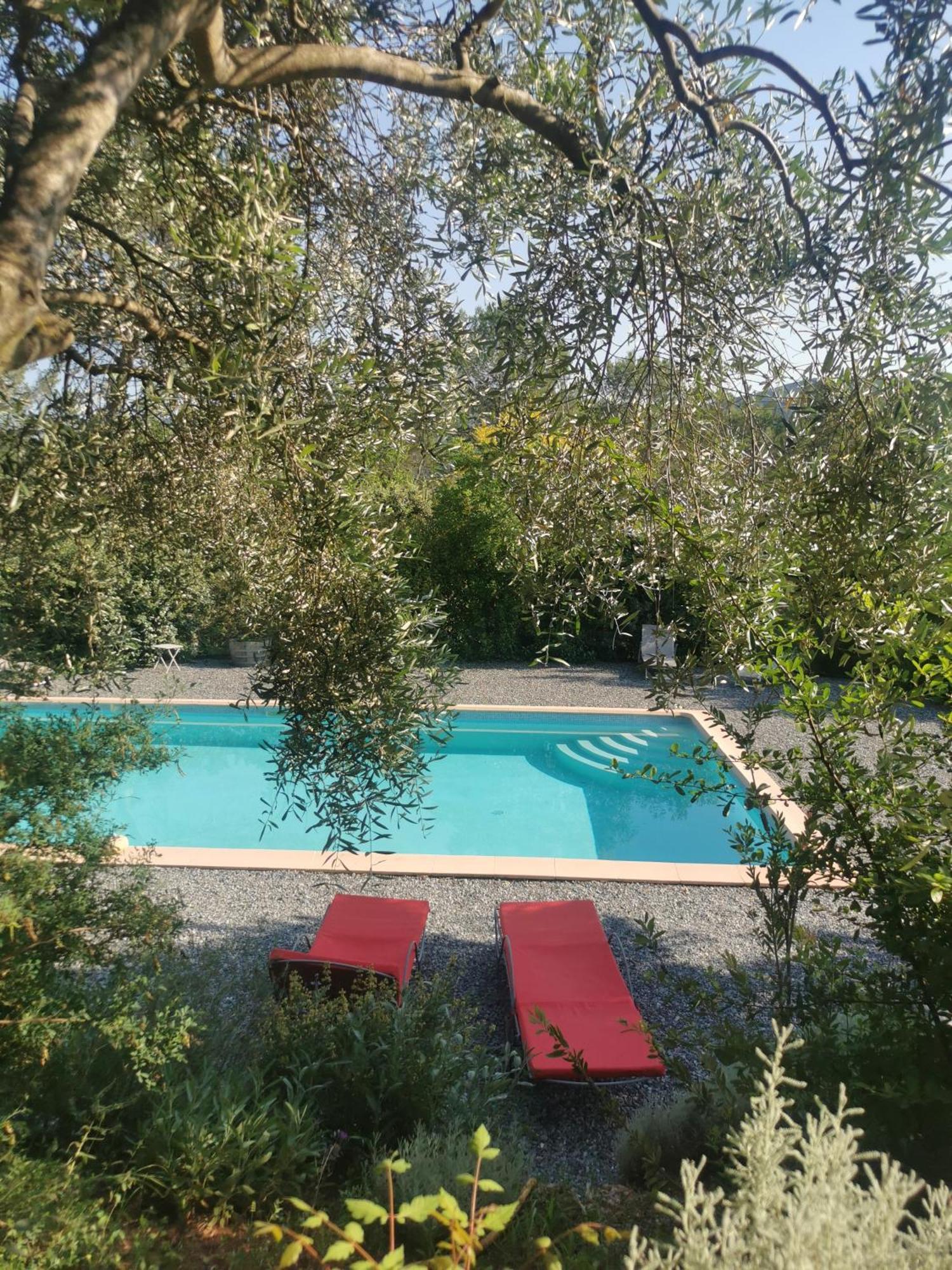Bed and Breakfast Bastide Saint Bernard Ле-Тороне Экстерьер фото