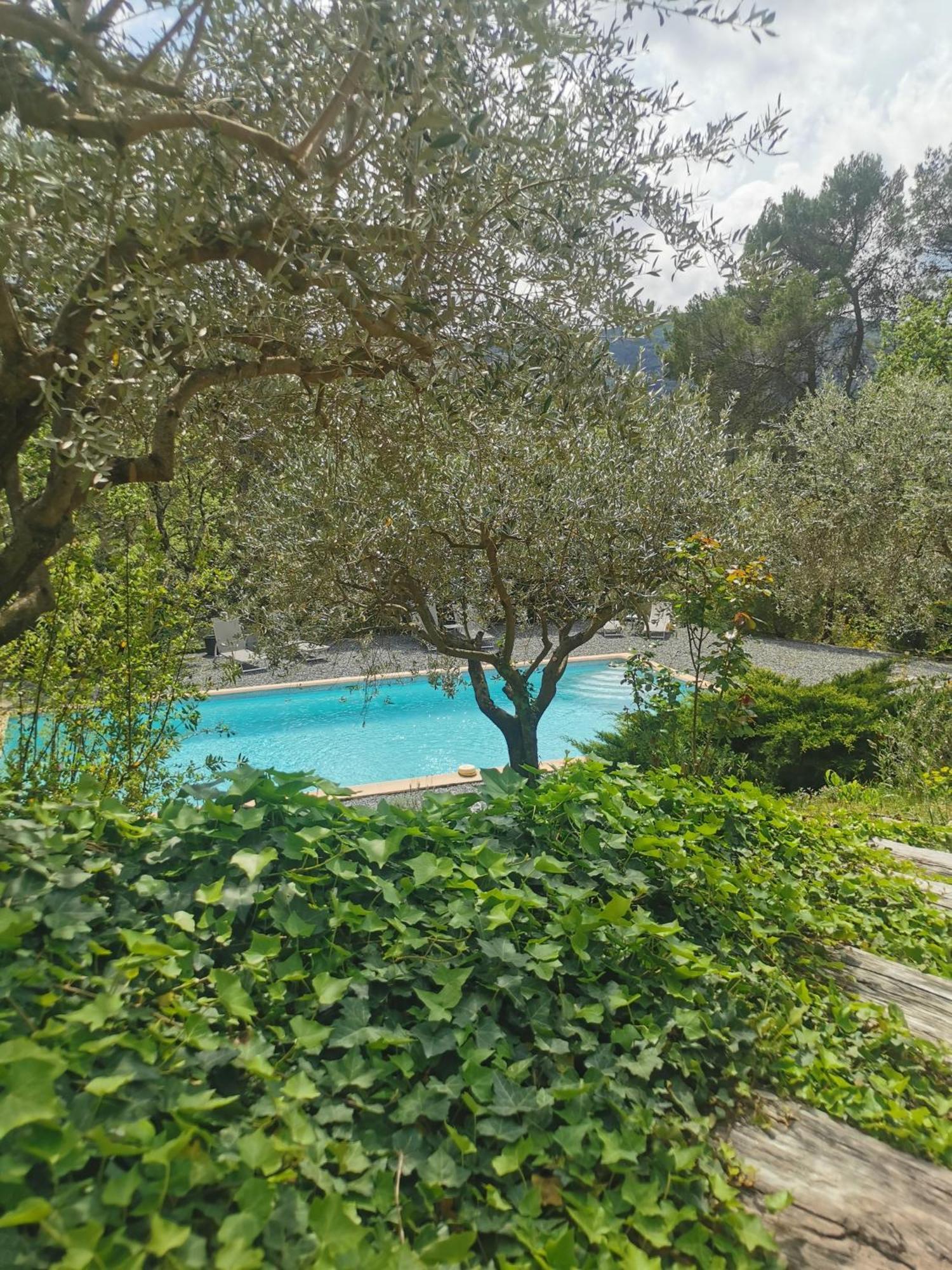 Bed and Breakfast Bastide Saint Bernard Ле-Тороне Экстерьер фото